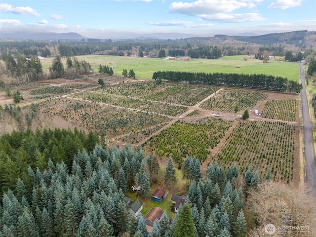 186 Van Hoesen Rd Unit 25, Onalaska, WA 98570 - photo 6