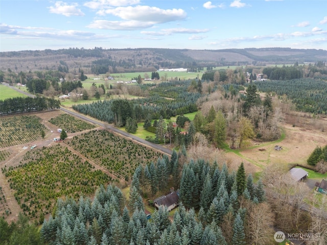 186 Van Hoesen Rd Unit 25, Onalaska, WA 98570 - photo 7