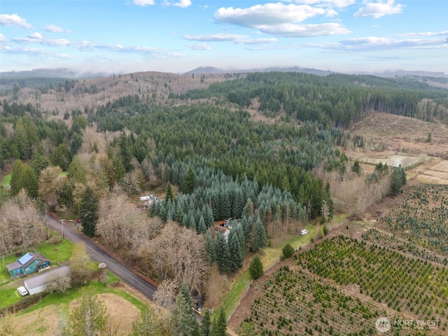 186 Van Hoesen Rd Unit 25, Onalaska, WA 98570 - photo 10