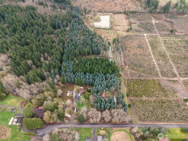 186 Van Hoesen Rd Unit 25, Onalaska, WA 98570 - photo 9