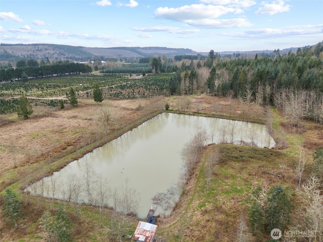 186 Van Hoesen Rd Unit 25, Onalaska, WA 98570 - photo 3