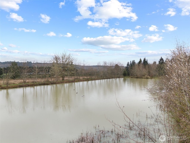 186 Van Hoesen Rd Unit 25, Onalaska, WA 98570 - photo 4