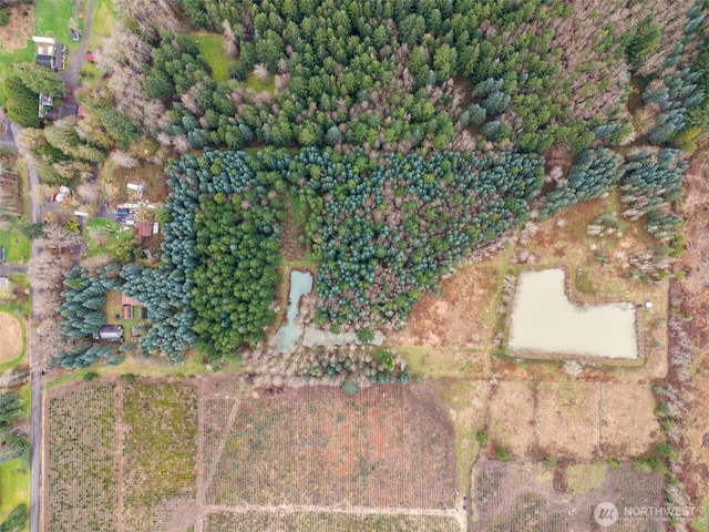 186 Van Hoesen Rd Unit 25, Onalaska, WA 98570 - photo 12