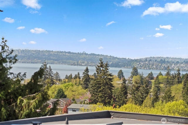 11121 NE 91st Ln, Kirkland, WA 98033 - photo 9