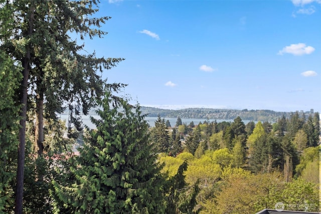 11121 NE 91st Ln, Kirkland, WA 98033 - photo 23