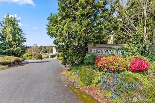 11121 NE 91st Ln, Kirkland, WA 98033 - photo 36