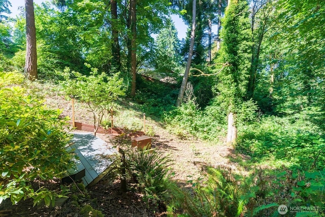 4123 150th Ave SE, Bellevue, WA 98006 - view of nature