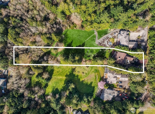3969 Palomino Dr NE, Bainbridge Island, WA 98110 - aerial view of property's location featuring property parcel outlined