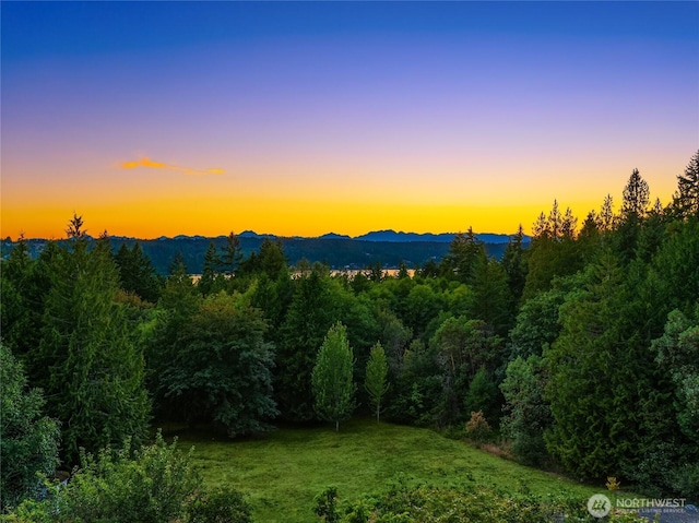 3969 Palomino Dr NE, Bainbridge Island, WA 98110 - photo 3