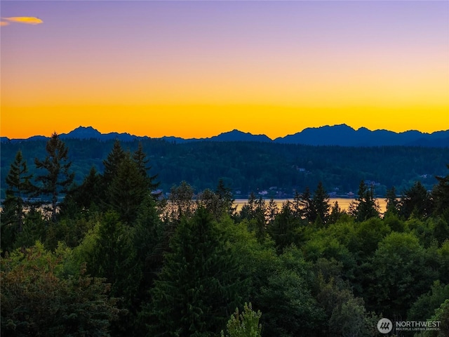 3969 Palomino Dr NE, Bainbridge Island, WA 98110 - photo 8