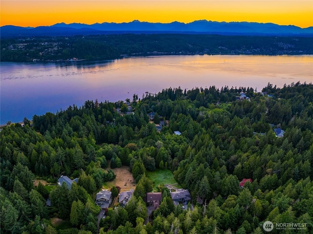 3969 Palomino Dr NE, Bainbridge Island, WA 98110 - photo 12