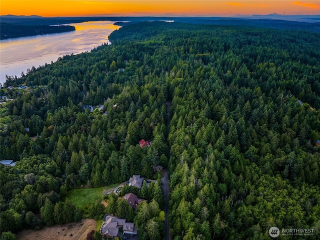 3969 Palomino Dr NE, Bainbridge Island, WA 98110 - photo 13