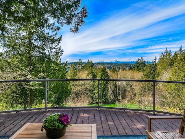 3969 Palomino Dr NE, Bainbridge Island, WA 98110 - photo 25