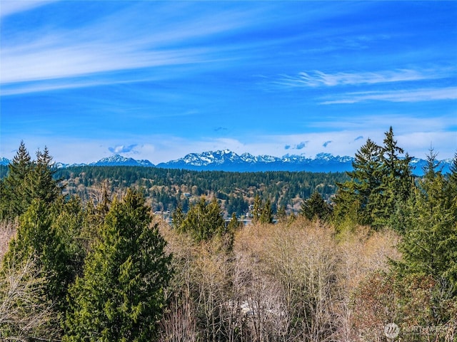 3969 Palomino Dr NE, Bainbridge Island, WA 98110 - photo 26