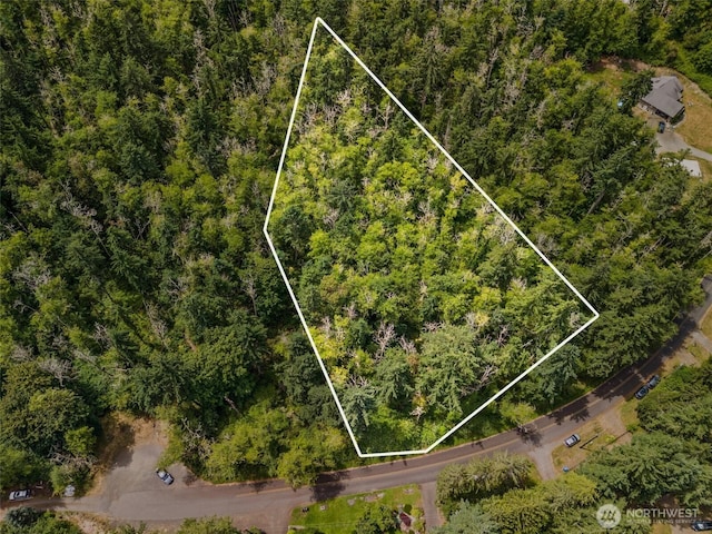 0XX Sandy Point Beach Rd NE, Olympia, WA 98516 - photo 1