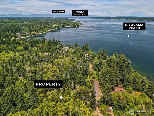 0XX Sandy Point Beach Rd NE, Olympia, WA 98516 - photo 4