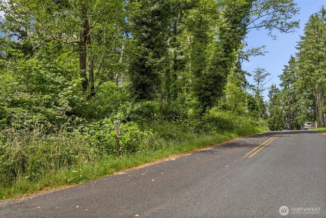 0XX Sandy Point Beach Rd NE, Olympia, WA 98516 - photo 7