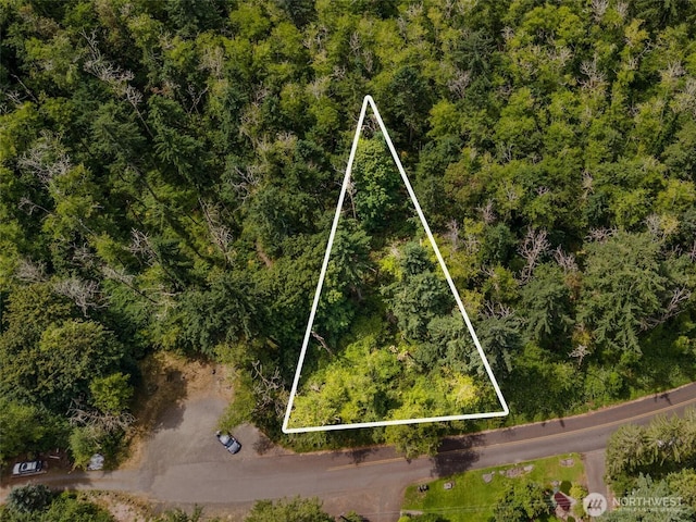 0XX Sandy Point Beach Rd NE, Olympia, WA 98516 - photo 8