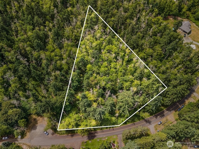 0XX Sandy Point Beach Rd NE, Olympia, WA 98516 - photo 10
