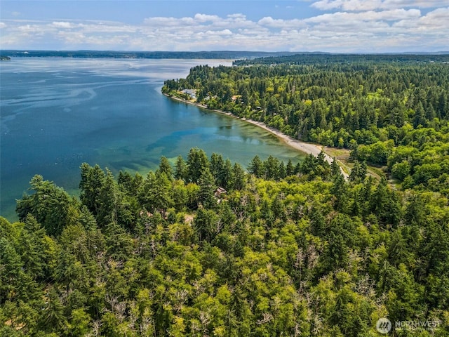 0XX Sandy Point Beach Rd NE, Olympia, WA 98516 - photo 11