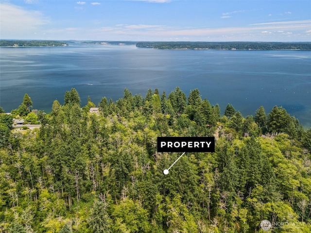 0XX Sandy Point Beach Rd NE, Olympia, WA 98516 - photo 14
