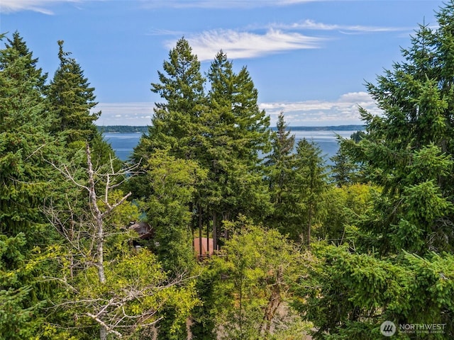 0XX Sandy Point Beach Rd NE, Olympia, WA 98516 - photo 18
