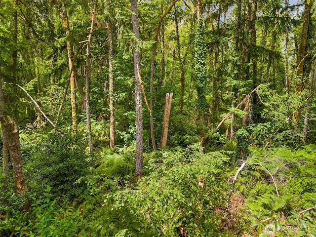 0XX Sandy Point Beach Rd NE, Olympia, WA 98516 - photo 20