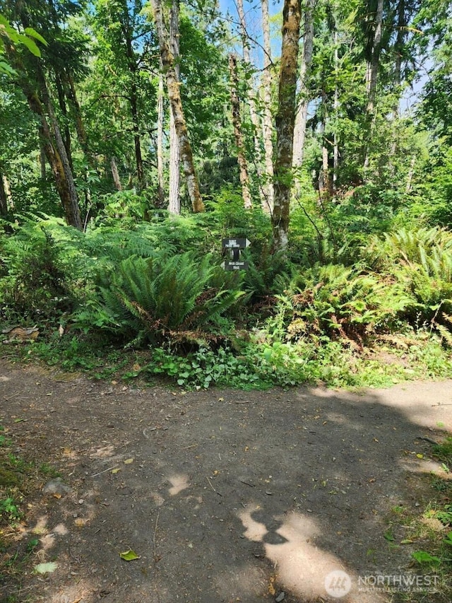 0XX Sandy Point Beach Rd NE, Olympia, WA 98516 - photo 21