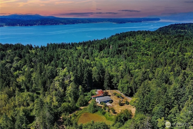 151 Dietz Dr, Quilcene, WA 98376 - view from above of property featuring a water and mountain view