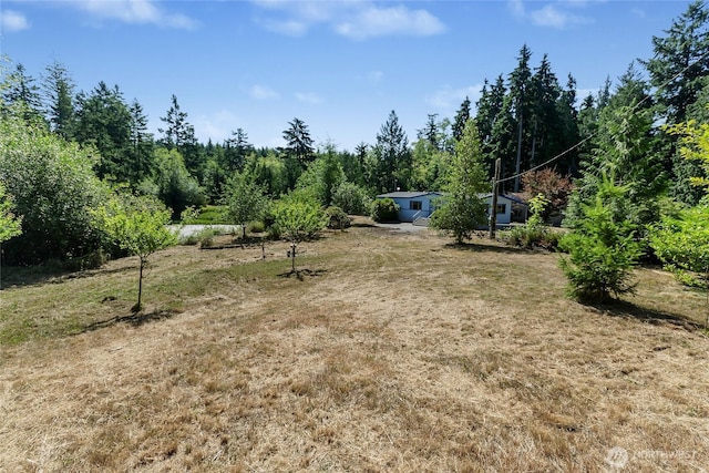 151 Dietz Dr, Quilcene, WA 98376 - view of green lawn