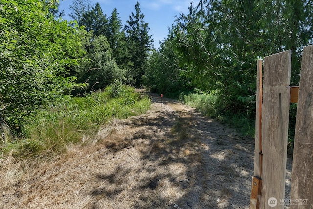 151 Dietz Dr, Quilcene, WA 98376 - view of dirt / gravel road