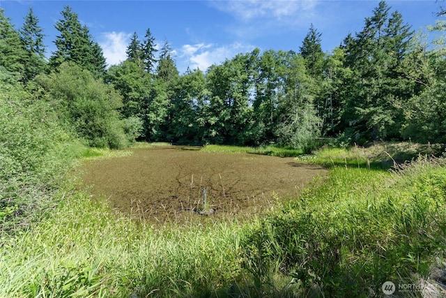 151 Dietz Dr, Quilcene, WA 98376 - view of tree filled area