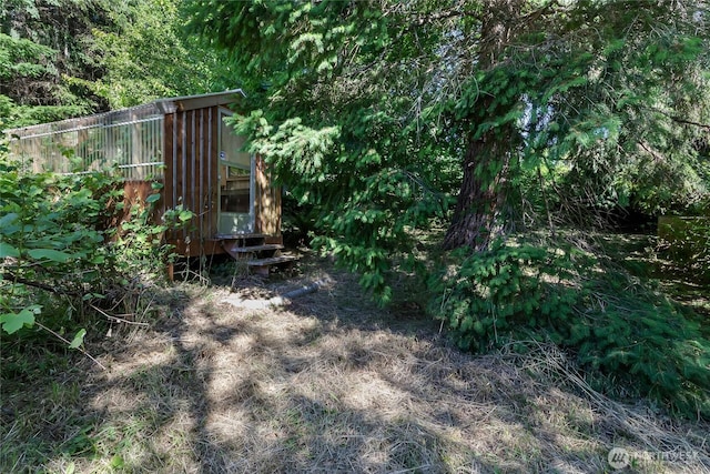 151 Dietz Dr, Quilcene, WA 98376 - view of yard with entry steps