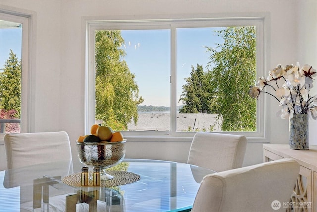4181 W Lake Sammamish Pkwy SE Unit B301, Bellevue, WA 98008 - dining space with plenty of natural light