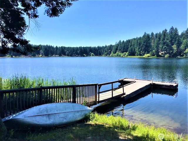 9223 Kootenai Dr, Anderson Island, WA 98303