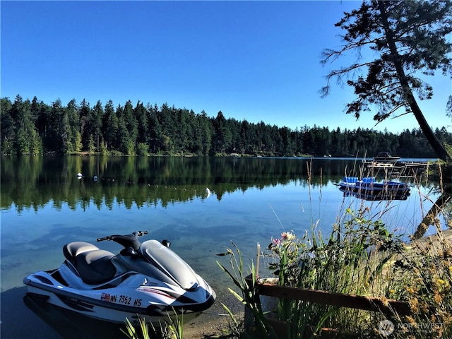 9223 Kootenai Dr, Anderson Island, WA 98303