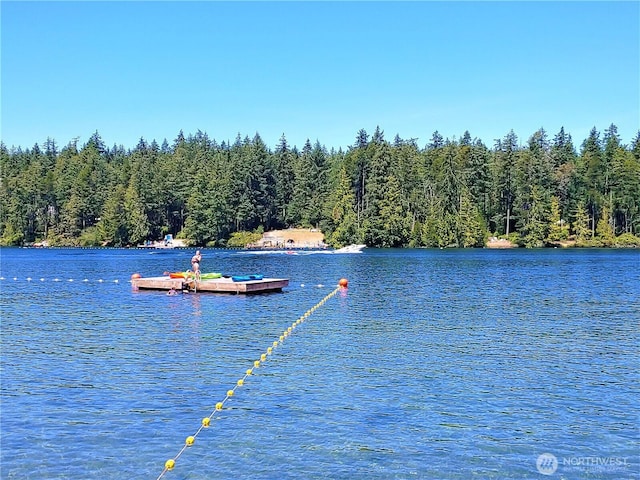 9223 Kootenai Dr, Anderson Island, WA 98303