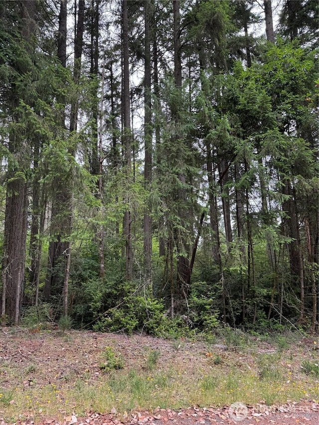9223 Kootenai Dr, Anderson Island, WA 98303