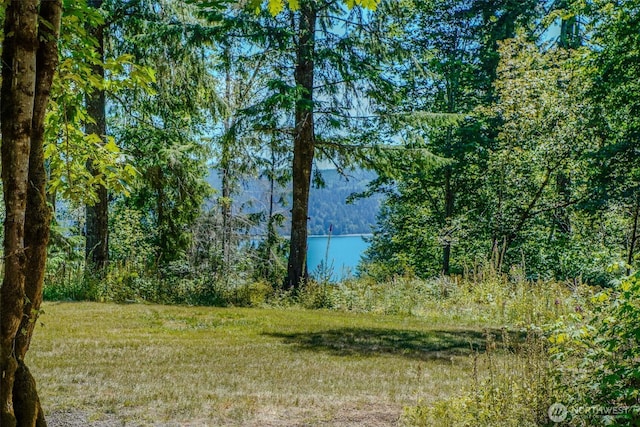 0 N Will Webb Rd, Lilliwaup, WA 98555