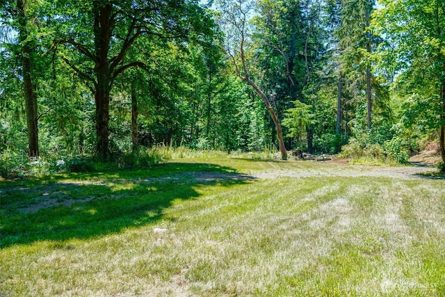 0 N Will Webb Rd, Lilliwaup, WA 98555