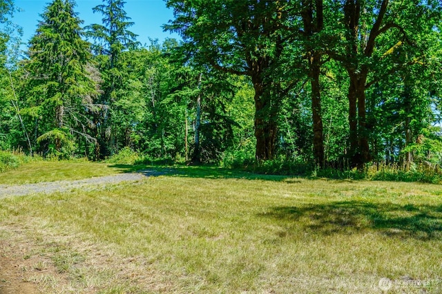 0 N Will Webb Rd, Lilliwaup, WA 98555