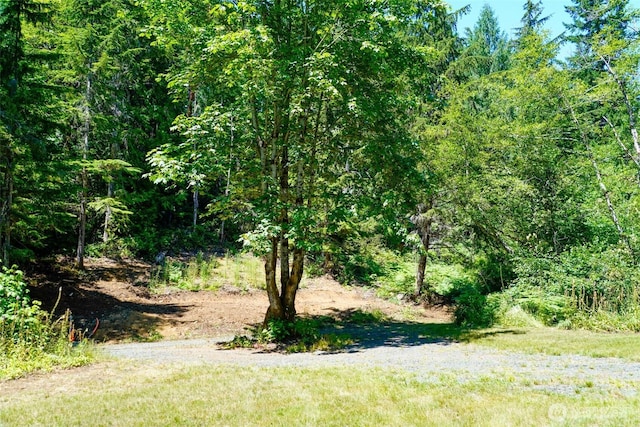 0 N Will Webb Rd, Lilliwaup, WA 98555