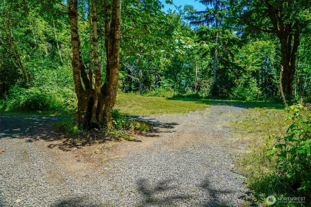 0 N Will Webb Rd, Lilliwaup, WA 98555