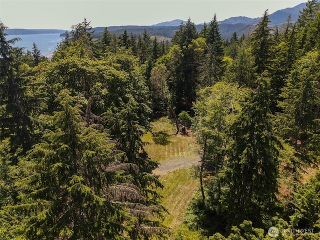0 N Will Webb Rd, Lilliwaup, WA 98555