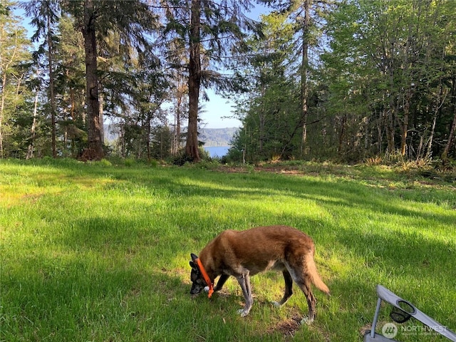 0 N Will Webb Rd, Lilliwaup, WA 98555