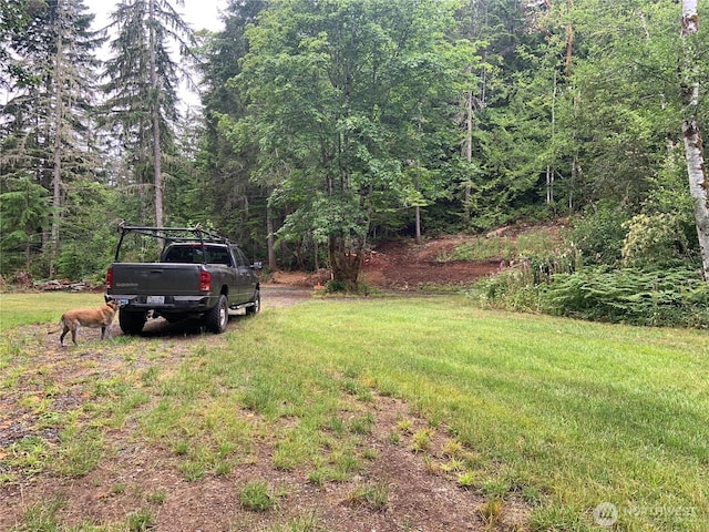 0 N Will Webb Rd, Lilliwaup, WA 98555