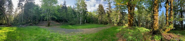 0 N Will Webb Rd, Lilliwaup, WA 98555