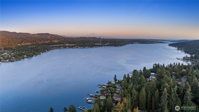 4014 E Mercer Way, Mercer Island, WA 98040 - photo 40