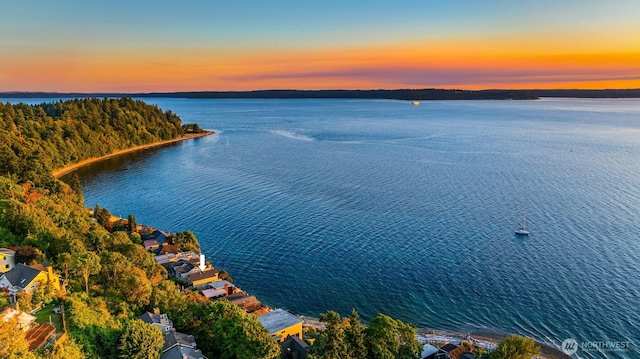 7117 Beach Dr SW, Seattle, WA 98136 - aerial view of a nearby body of water