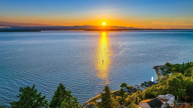 7117 Beach Dr SW, Seattle, WA 98136 - water view